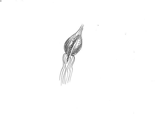 Archivní dílo A0100